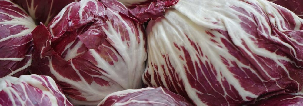 radicchio-rosso